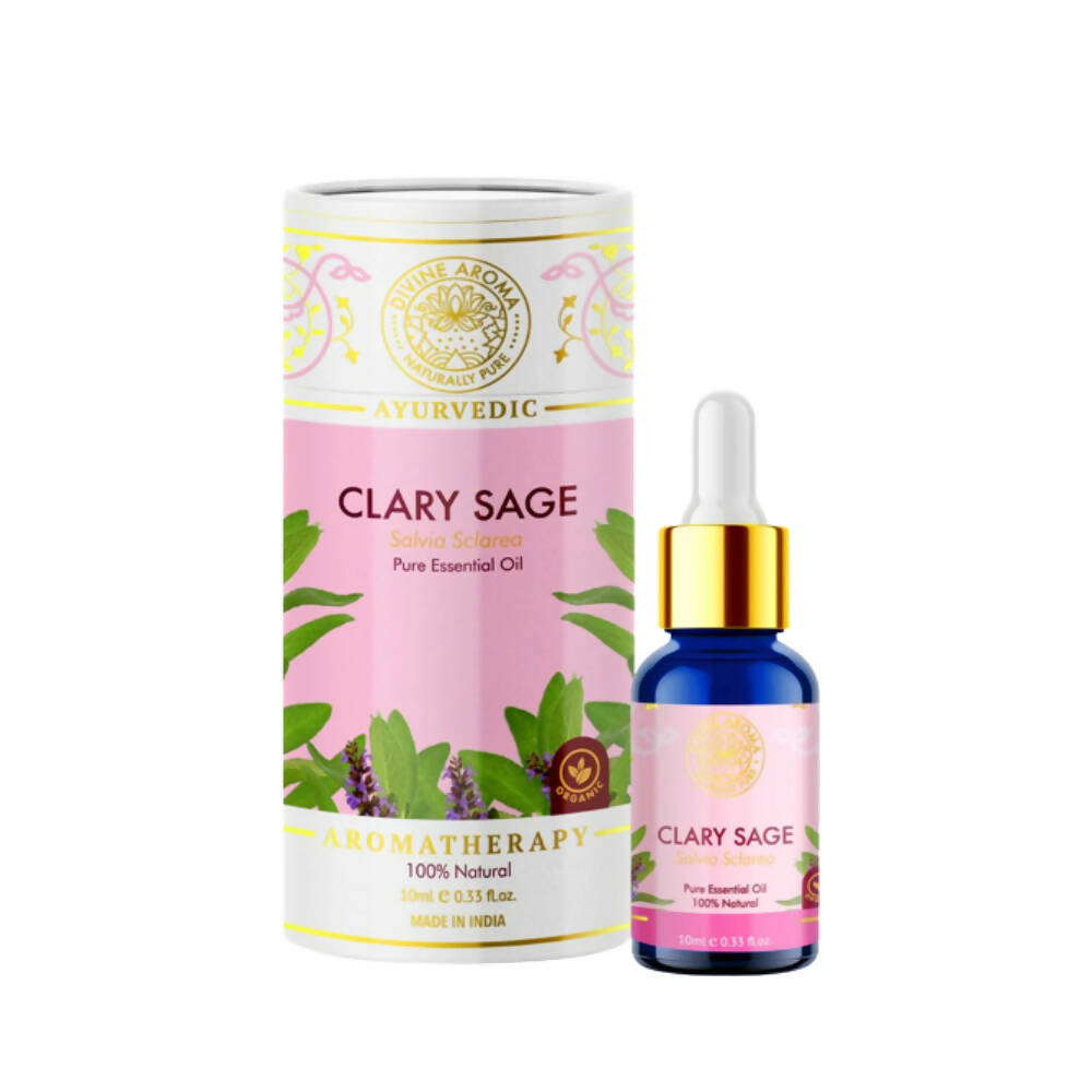 https://cdn.shopify.com/s/files/1/1857/6931/products/2G8YSycnAV.jpg?v=1668679766