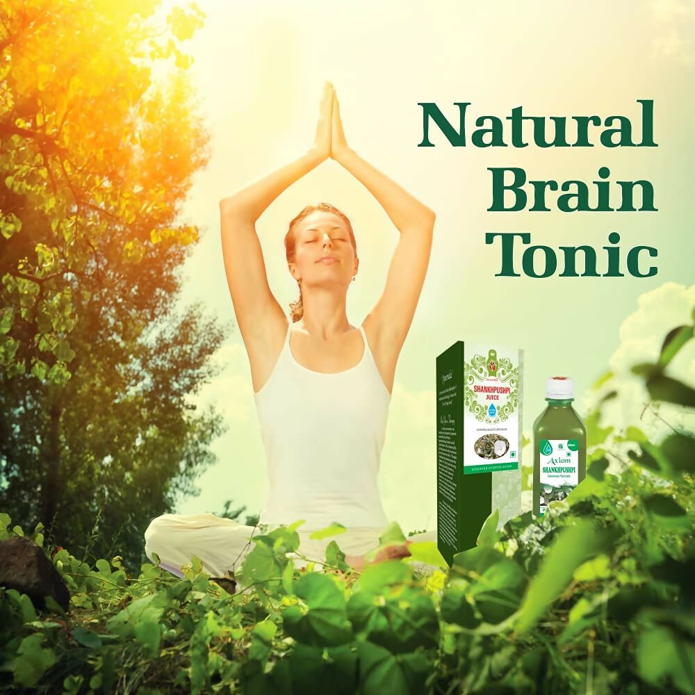 https://cdn.shopify.com/s/files/1/1857/6931/files/2q0MKwpy4G-303688.jpg?v=1736150825