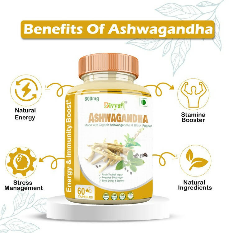 https://cdn.shopify.com/s/files/1/1857/6931/products/3LWEtBMpZu.jpg?v=1672210782