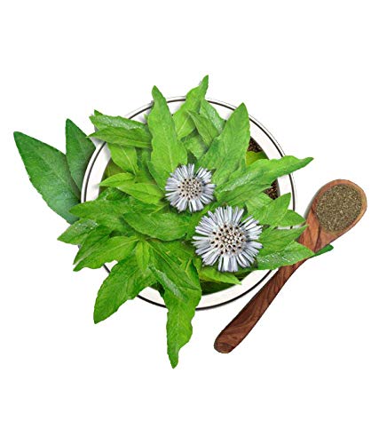 https://cdn.shopify.com/s/files/1/1857/6931/products/41TApTTH-5L.jpg?v=1672998180