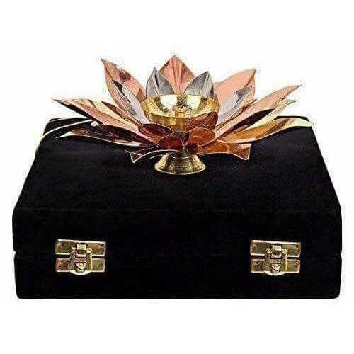 https://cdn.shopify.com/s/files/1/1857/6931/products/41j6SoNd29L.jpg?v=1620003415