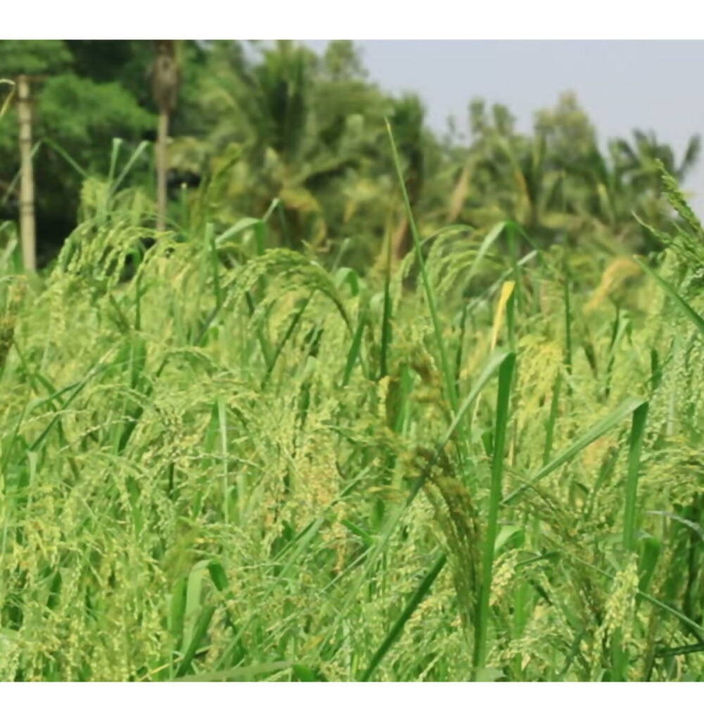 https://cdn.shopify.com/s/files/1/1857/6931/products/4JByFBSaSo.jpg?v=1623400800