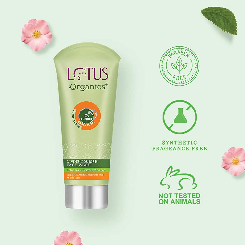 https://cdn.shopify.com/s/files/1/1857/6931/products/4WugHzwXOh.jpg?v=1648461146