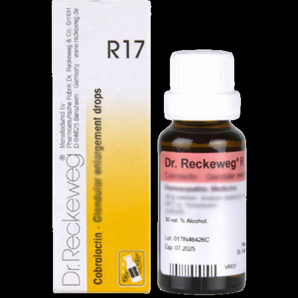 https://cdn.shopify.com/s/files/1/1857/6931/files/4ce191ad-0113-4643-ab9e-ddee9b77df70.png?v=1766063229
