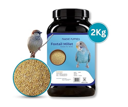 Image 7 of Foodie Puppies Foxtail Millet/Kangni Seeds Bird Food (2Kg, Box)