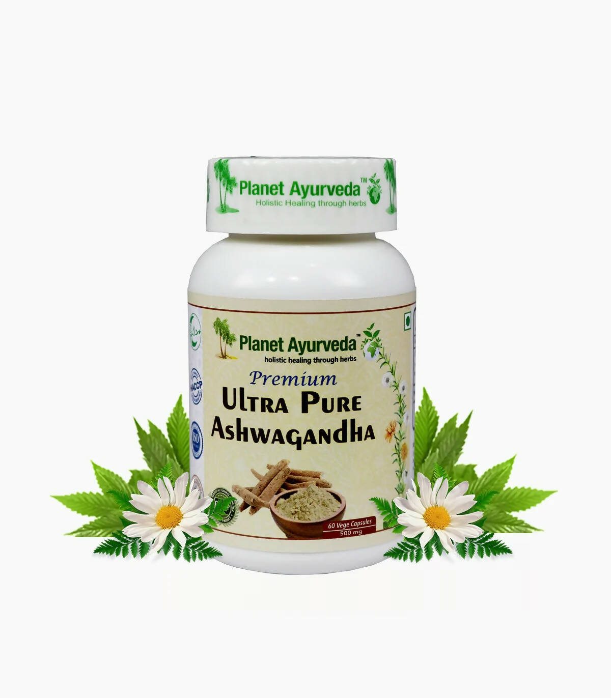 https://cdn.shopify.com/s/files/1/1857/6931/products/50flsuOe4Q.jpg?v=1762350705