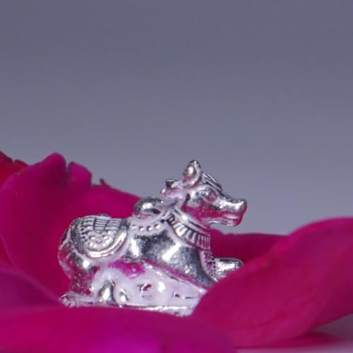 Image 5 of Dista Silvers Small Nandi 11g