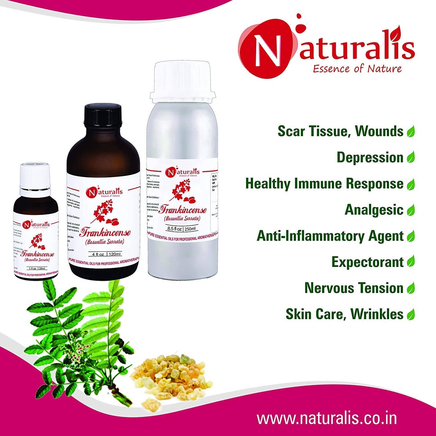 https://cdn.shopify.com/s/files/1/1857/6931/products/55iNkZ8NGn.jpg?v=1623493698