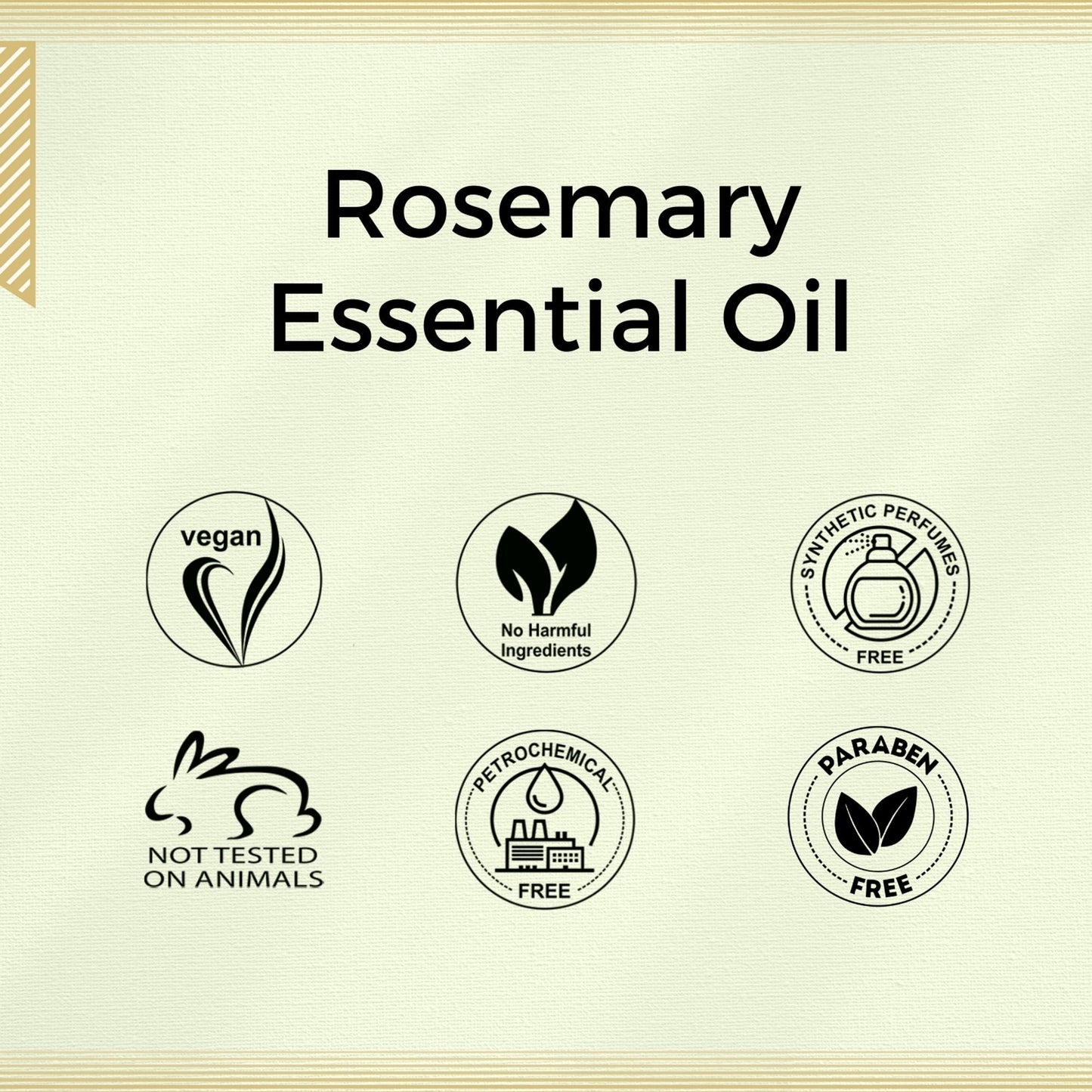 https://cdn.shopify.com/s/files/1/1857/6931/files/58139b4NYAROMATRE058_7.jpg?v=1770104298
