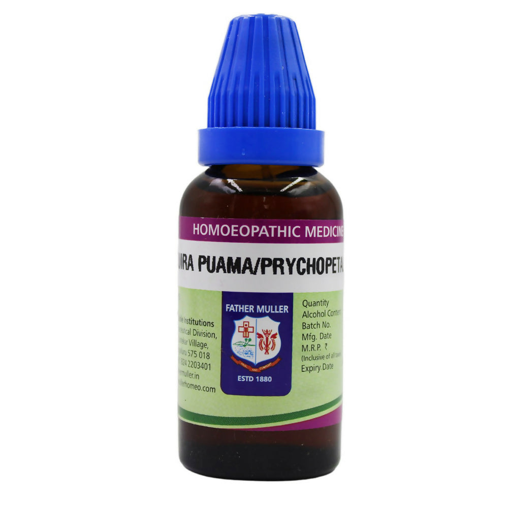 https://cdn.shopify.com/s/files/1/1857/6931/files/5JIlcVe894.jpg?v=1717141253