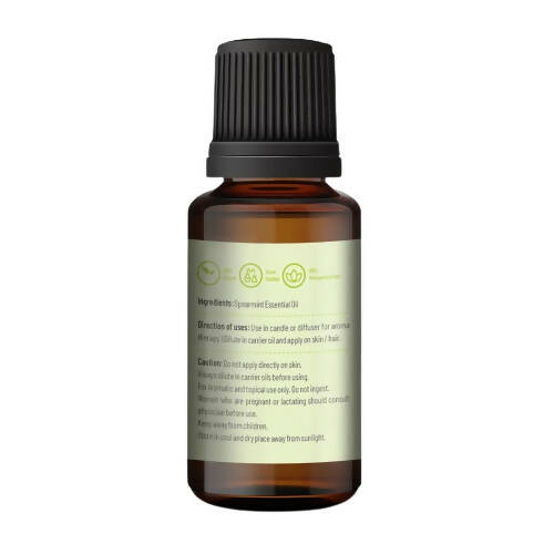 https://cdn.shopify.com/s/files/1/1857/6931/products/5f9aSC2Ag7.jpg?v=1665060880