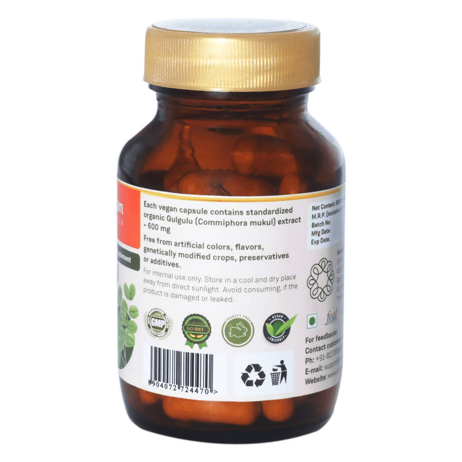 https://cdn.shopify.com/s/files/1/1857/6931/products/5imf4YxysV.jpg?v=1640777252