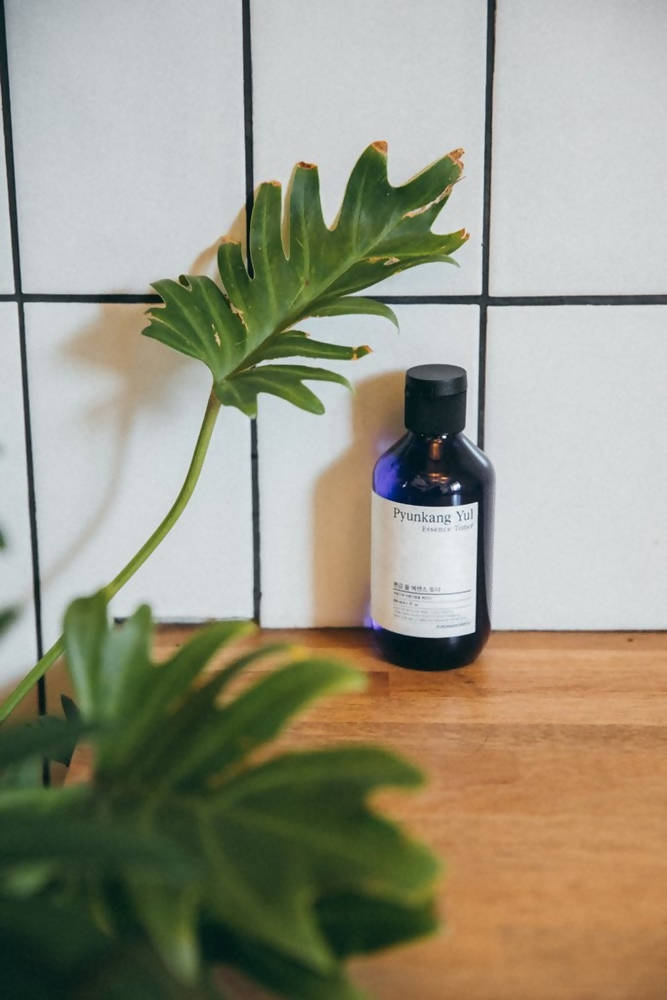 https://cdn.shopify.com/s/files/1/1857/6931/products/5vMoNWxlnN.jpg?v=1619145205