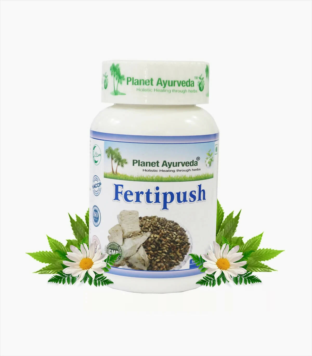 https://cdn.shopify.com/s/files/1/1857/6931/products/69gYDNJldk.jpg?v=1762350851