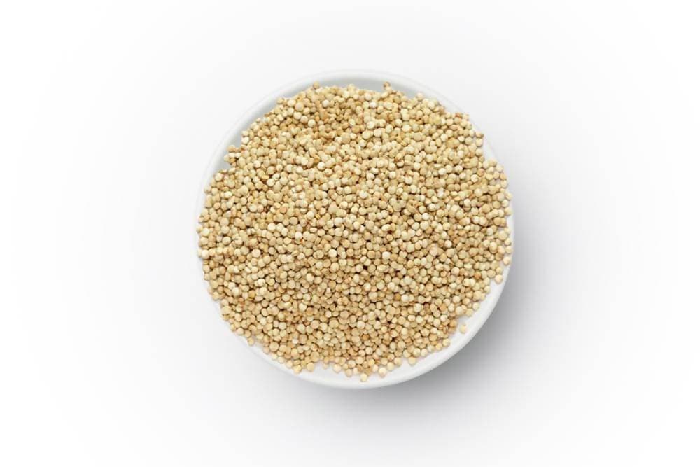 https://cdn.shopify.com/s/files/1/1857/6931/products/6B08vElGfI.jpg?v=1762274424
