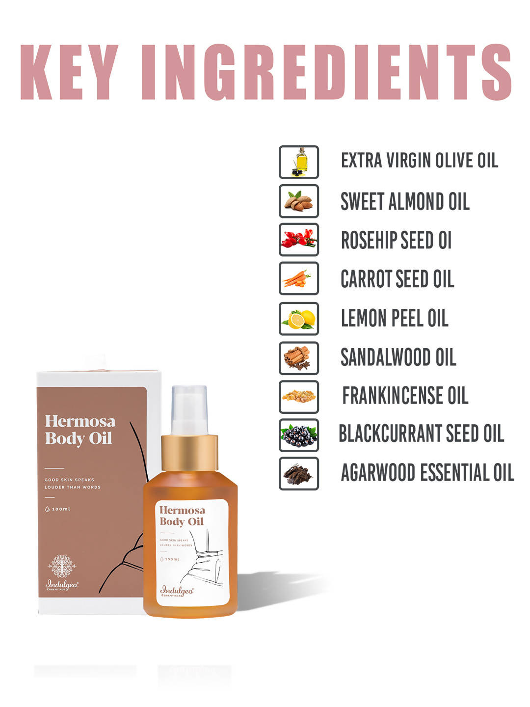 https://cdn.shopify.com/s/files/1/1857/6931/products/6xpuc8vP3I.jpg?v=1649924912
