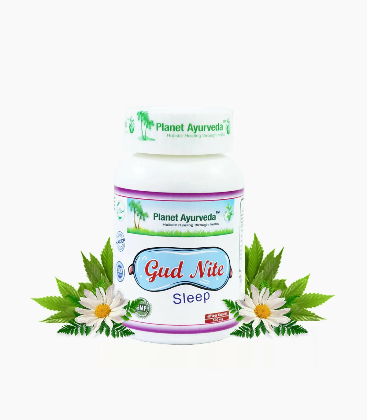 https://cdn.shopify.com/s/files/1/1857/6931/products/6xwdFVU6nt.jpg?v=1759355961