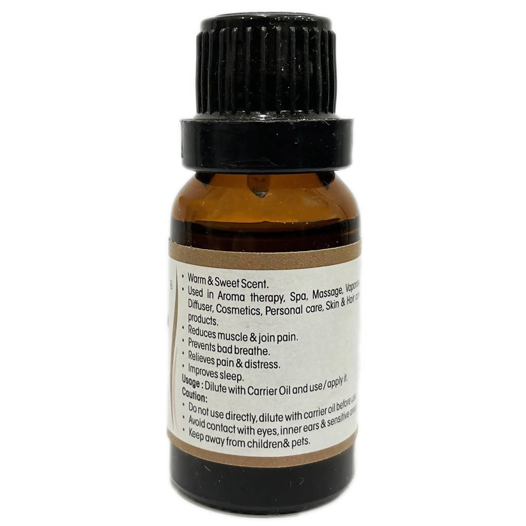 https://cdn.shopify.com/s/files/1/1857/6931/products/7SmCxcUc78.jpg?v=1643892748