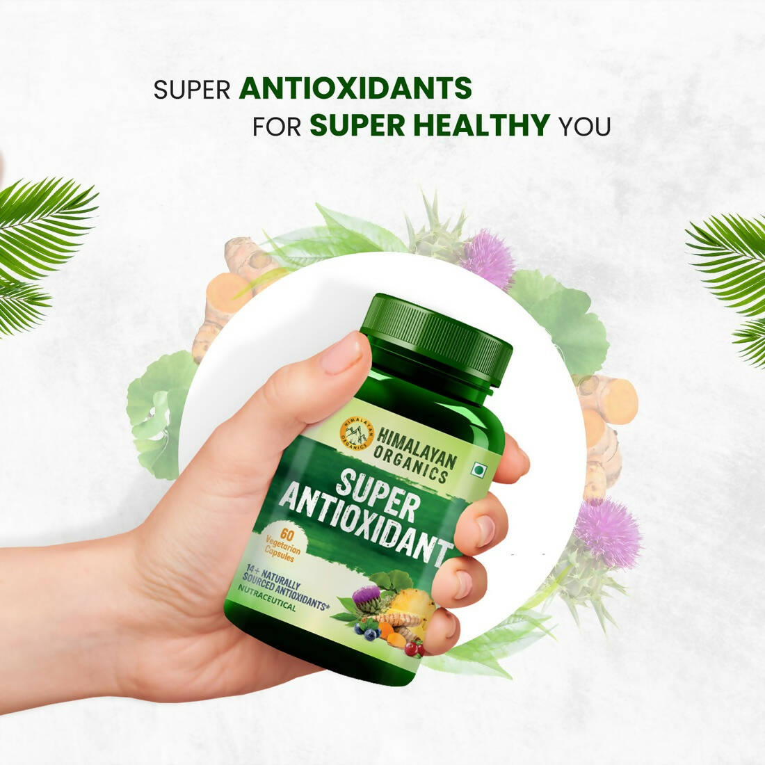 https://cdn.shopify.com/s/files/1/1857/6931/products/7gG5eYKwau.jpg?v=1695197244