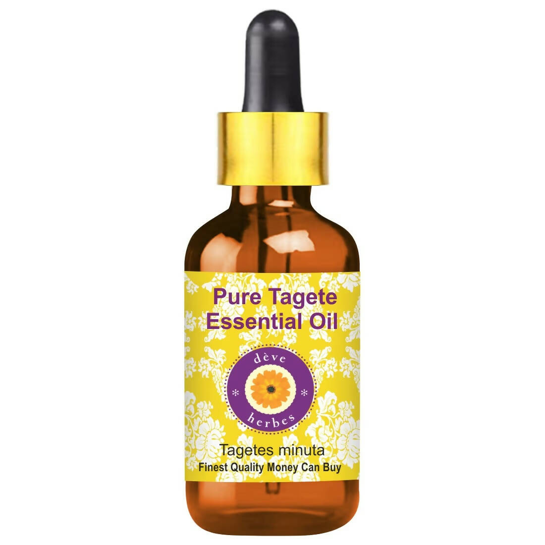 https://cdn.shopify.com/s/files/1/1857/6931/products/7pAuMTUjEv.jpg?v=1759384580