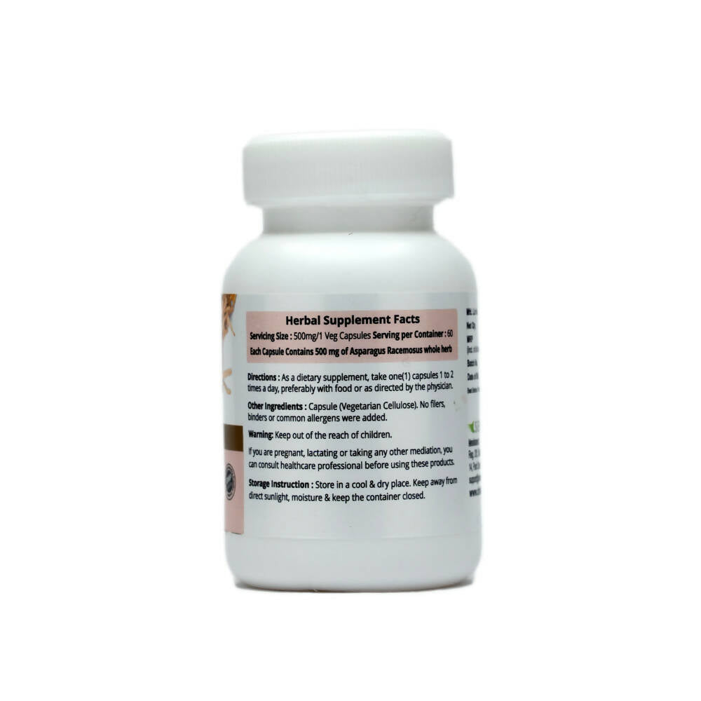 https://cdn.shopify.com/s/files/1/1857/6931/products/7qOeidO2UO.jpg?v=1669887531