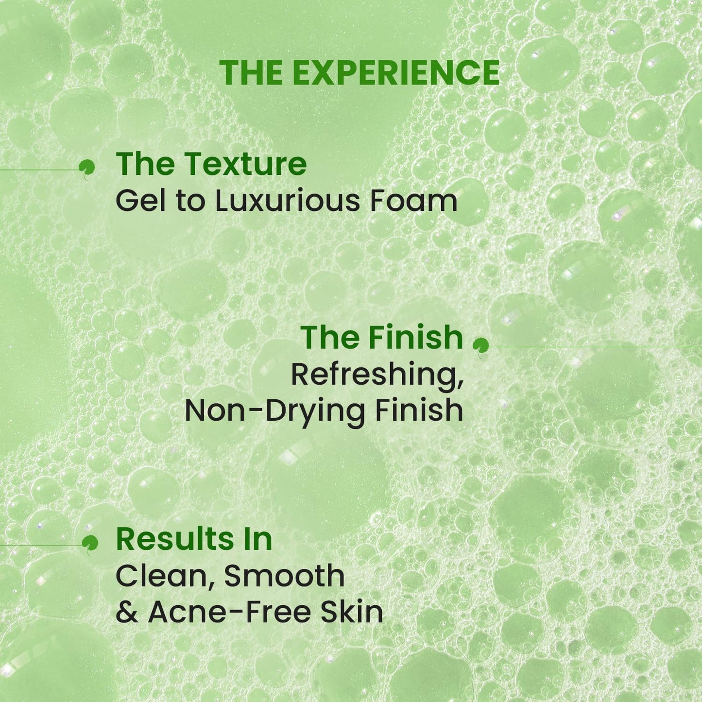 https://cdn.shopify.com/s/files/1/1857/6931/files/81IBA8YXnmL._SL1500.jpg?v=1765012772