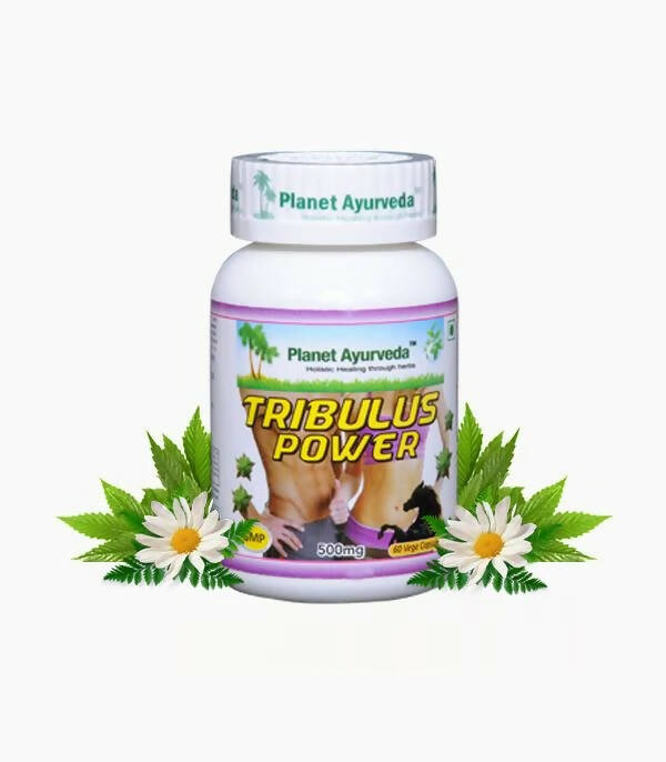 https://cdn.shopify.com/s/files/1/1857/6931/products/82F39uhHtz.jpg?v=1762350889