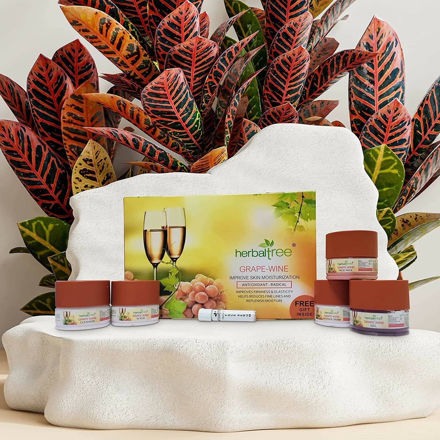 https://cdn.shopify.com/s/files/1/1857/6931/products/8NNVxt1GLH.jpg?v=1667038835