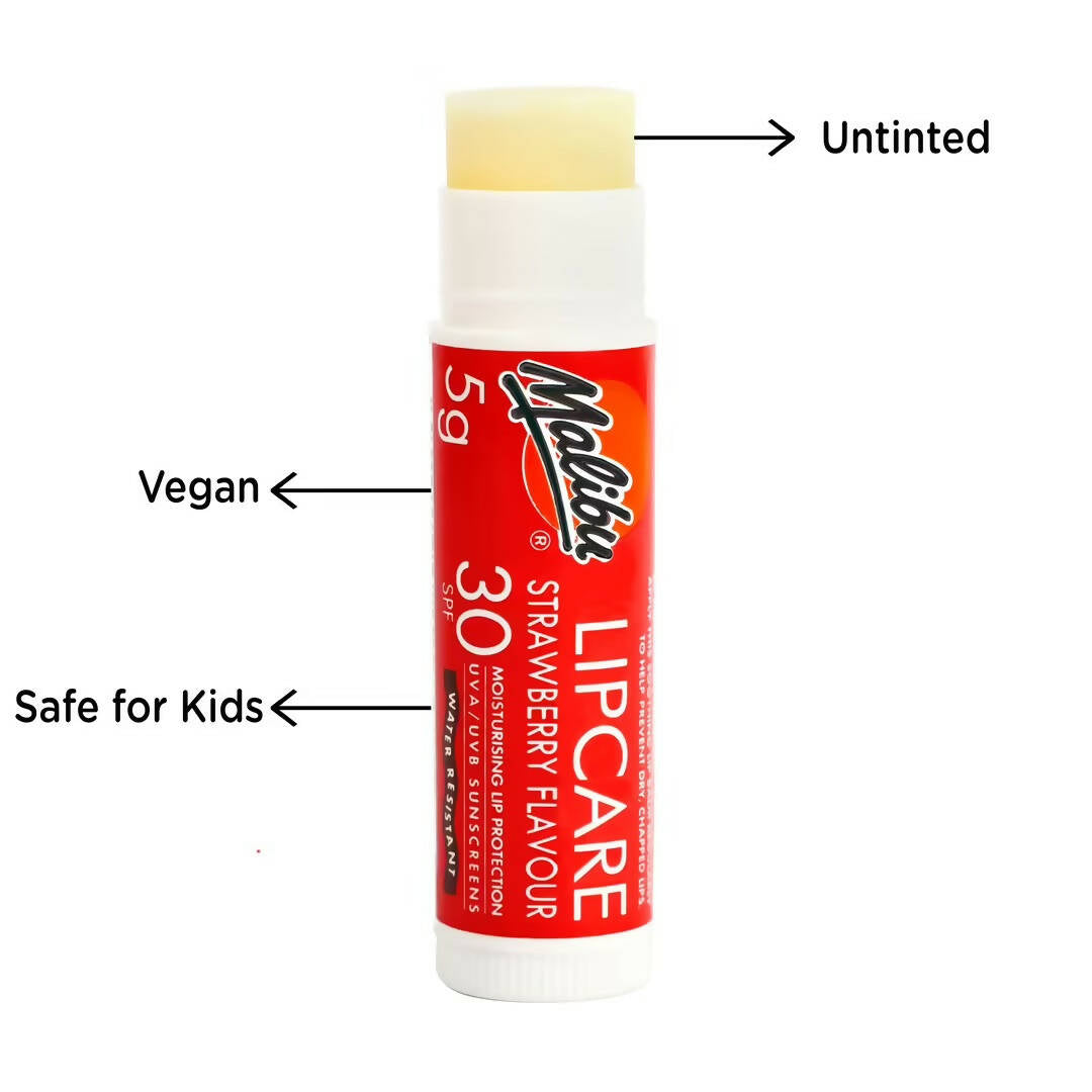 https://cdn.shopify.com/s/files/1/1857/6931/products/8fg80QSVga.jpg?v=1680177380
