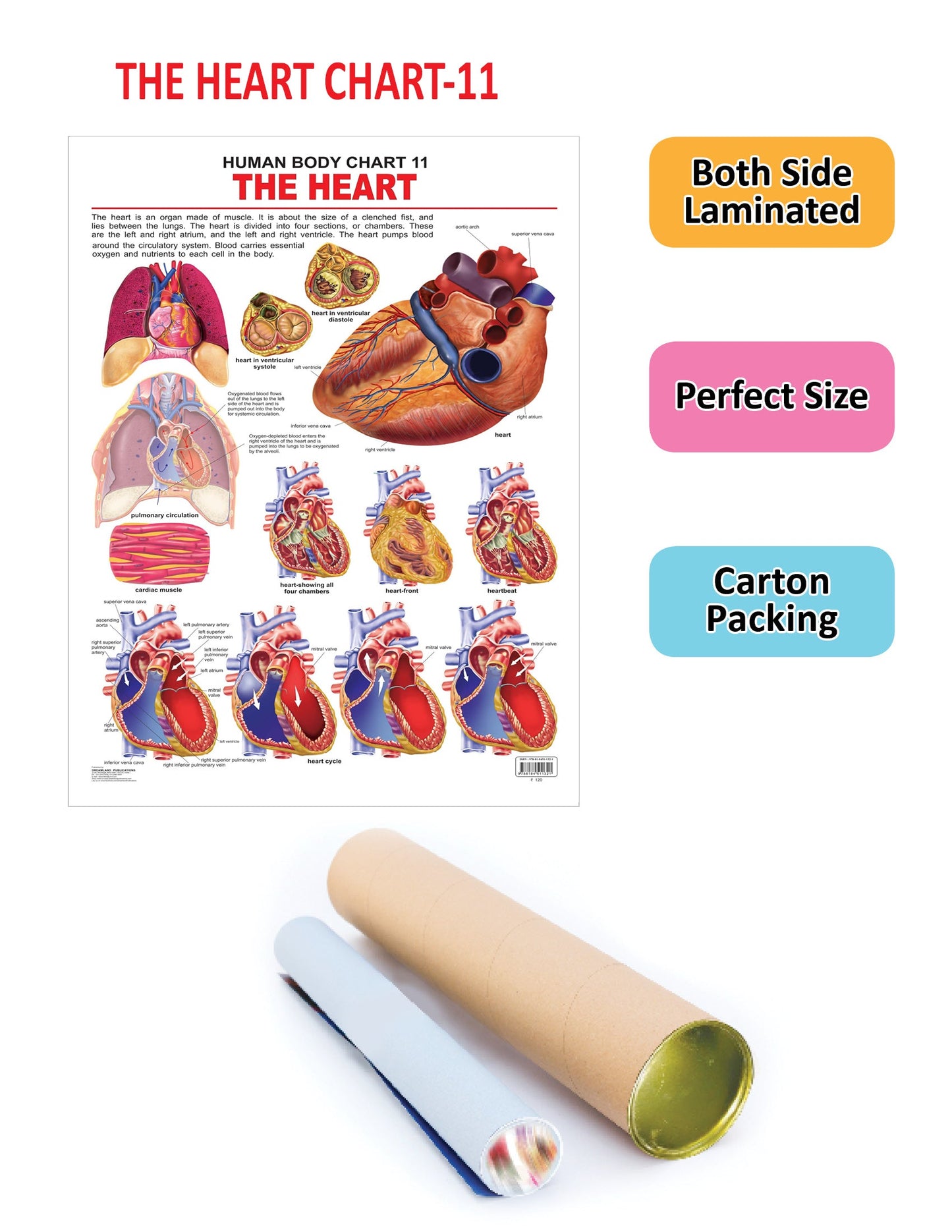 https://cdn.shopify.com/s/files/1/1857/6931/products/9788184511321_2.jpg?v=1684568376