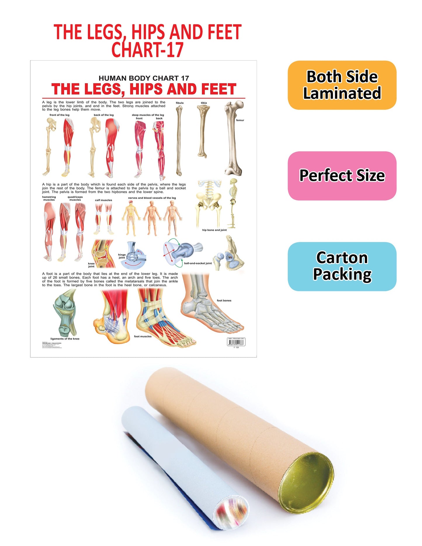 https://cdn.shopify.com/s/files/1/1857/6931/products/9788184511383_2.jpg?v=1684563219