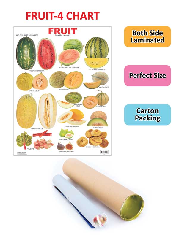 https://cdn.shopify.com/s/files/1/1857/6931/products/9788184516654_2.jpg?v=1703682551