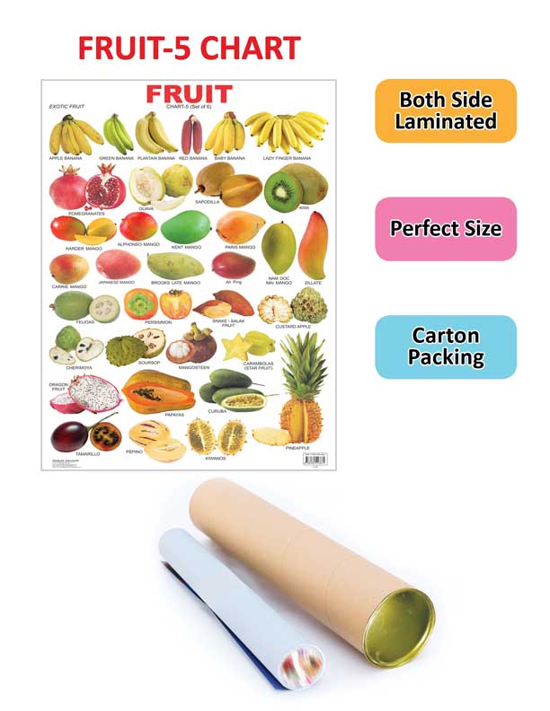 https://cdn.shopify.com/s/files/1/1857/6931/products/9788184516661_2.jpg?v=1684575146