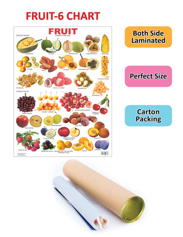 https://cdn.shopify.com/s/files/1/1857/6931/products/9788184516678_2.jpg?v=1684575160