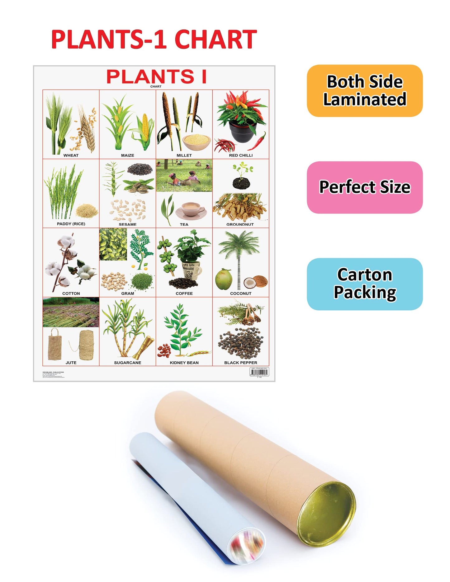https://cdn.shopify.com/s/files/1/1857/6931/products/9788184519181_2.jpg?v=1684563380