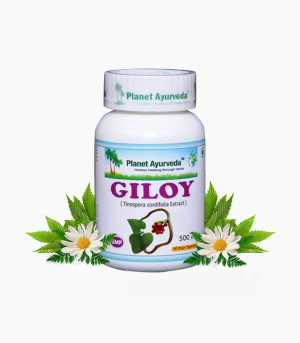https://cdn.shopify.com/s/files/1/1857/6931/products/AjmkFs9hCp.jpg?v=1762350905