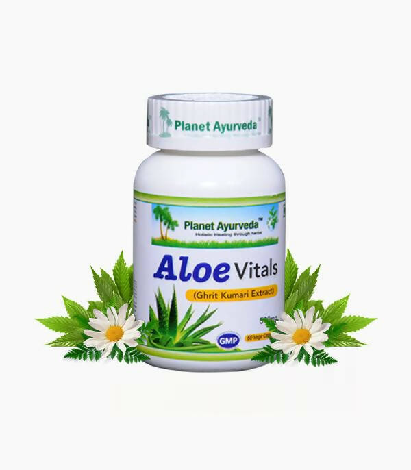 https://cdn.shopify.com/s/files/1/1857/6931/products/Akr5QoKfOM.jpg?v=1762350842