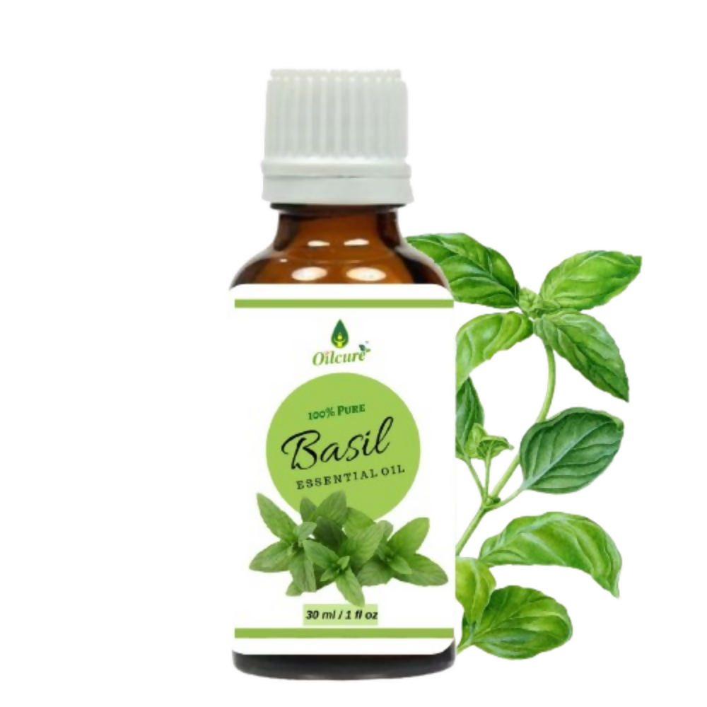 https://cdn.shopify.com/s/files/1/1857/6931/files/BTTjTMxRbd.jpg?v=1765456369