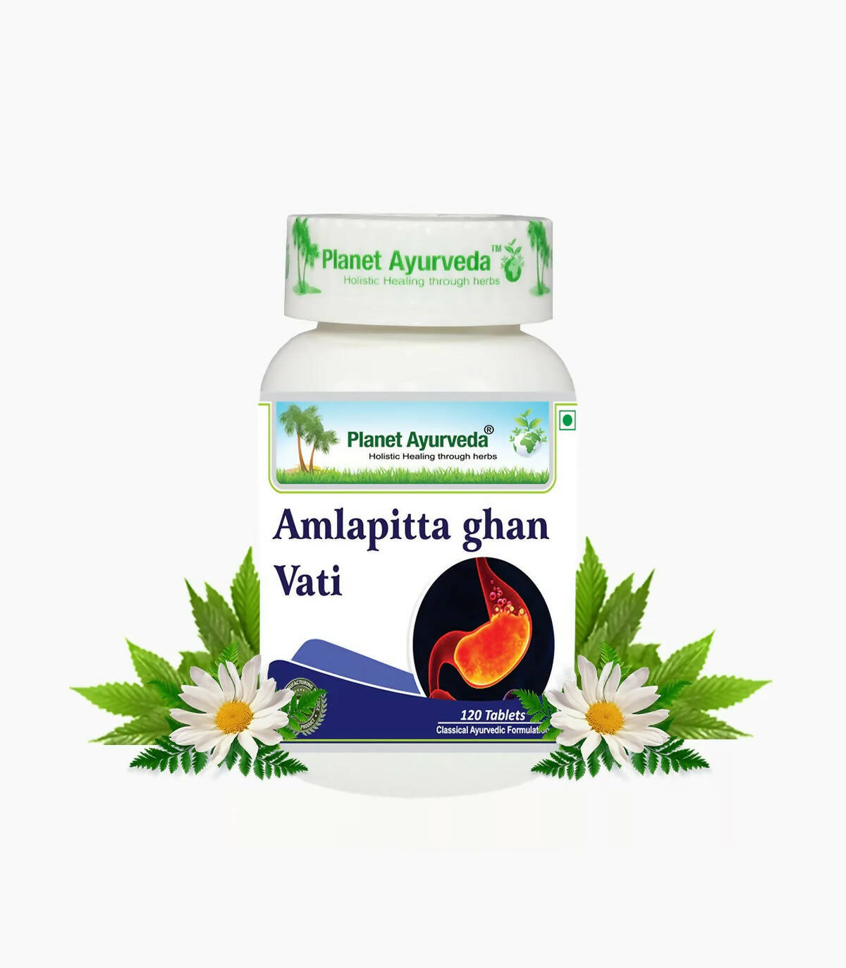 https://cdn.shopify.com/s/files/1/1857/6931/products/BdLuEmOTyc.jpg?v=1762350687