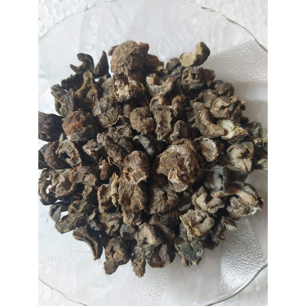 https://cdn.shopify.com/s/files/1/1857/6931/files/Bg0HeJ9syN.png?v=1768979302