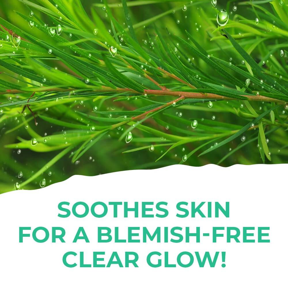 https://cdn.shopify.com/s/files/1/1857/6931/products/CCtQDj0qvc.jpg?v=1703588847