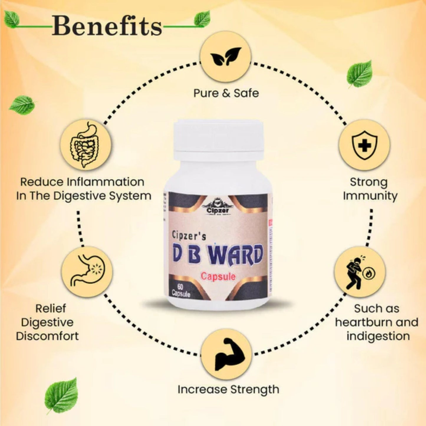 https://cdn.shopify.com/s/files/1/1857/6931/files/CDBWRD60-4.jpg?v=1762435208