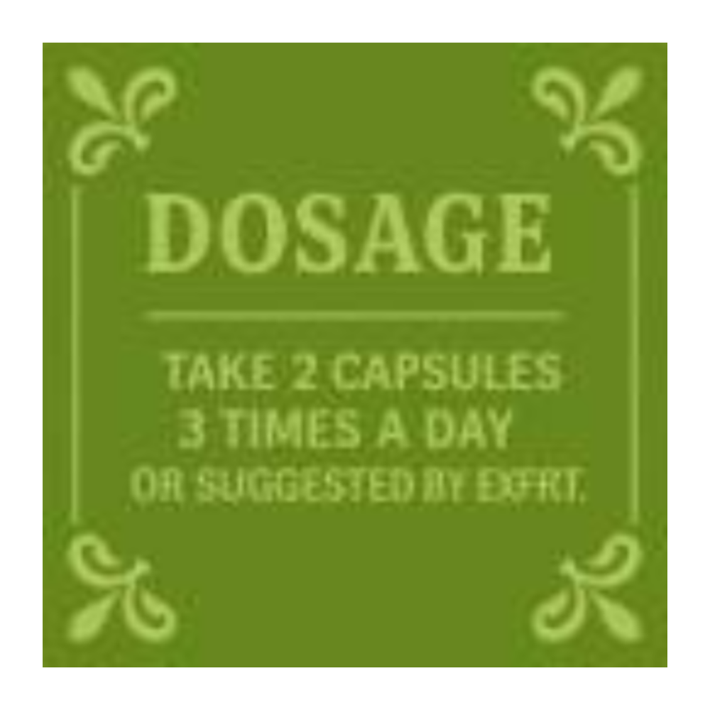 https://cdn.shopify.com/s/files/1/1857/6931/files/CGhqdpvXsT.png?v=1769595895