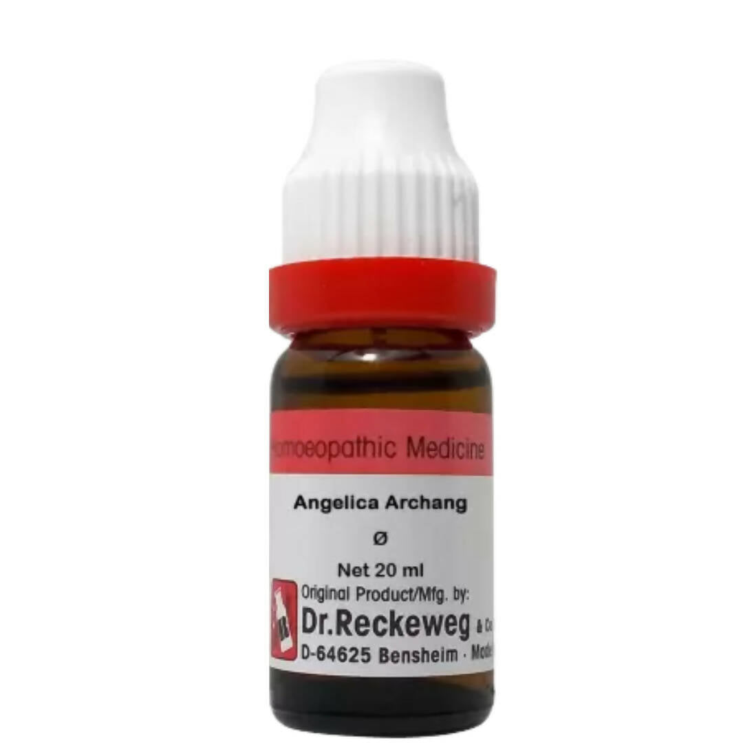 https://cdn.shopify.com/s/files/1/1857/6931/products/CUgjjasQ0c.jpg?v=1680522178