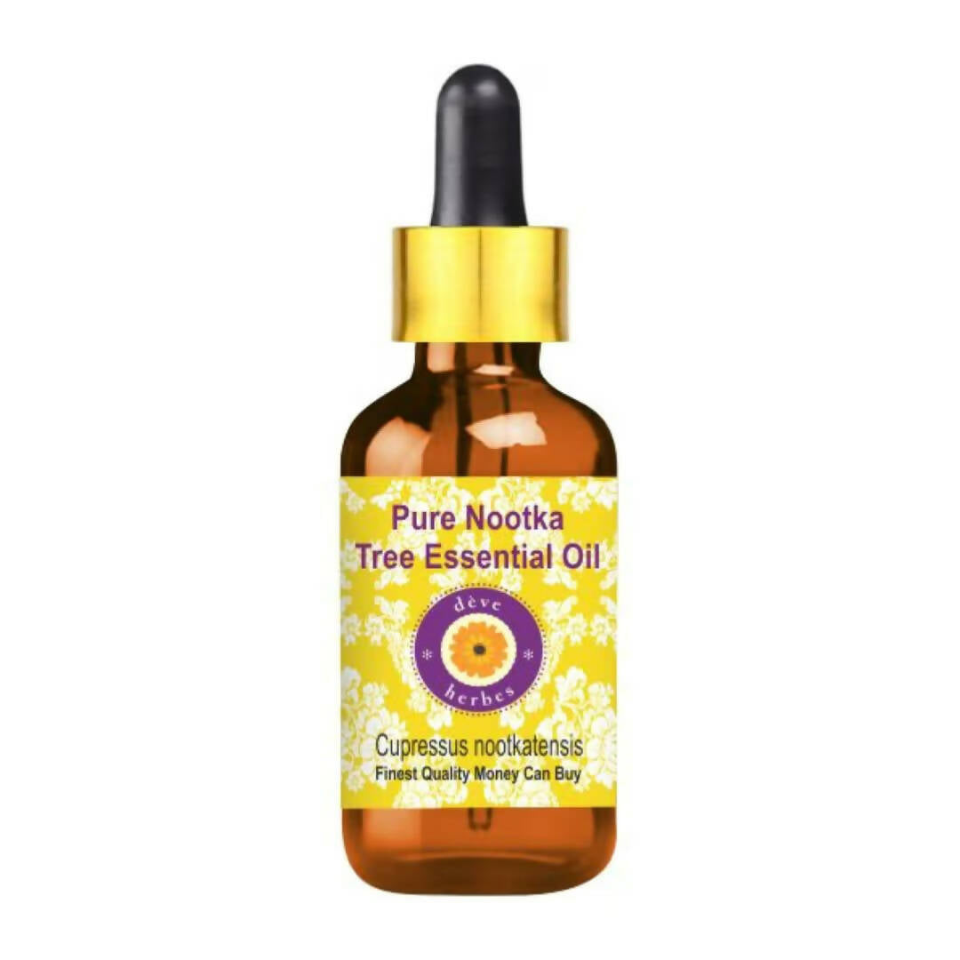 https://cdn.shopify.com/s/files/1/1857/6931/products/DBjOieuIAX.jpg?v=1762383353