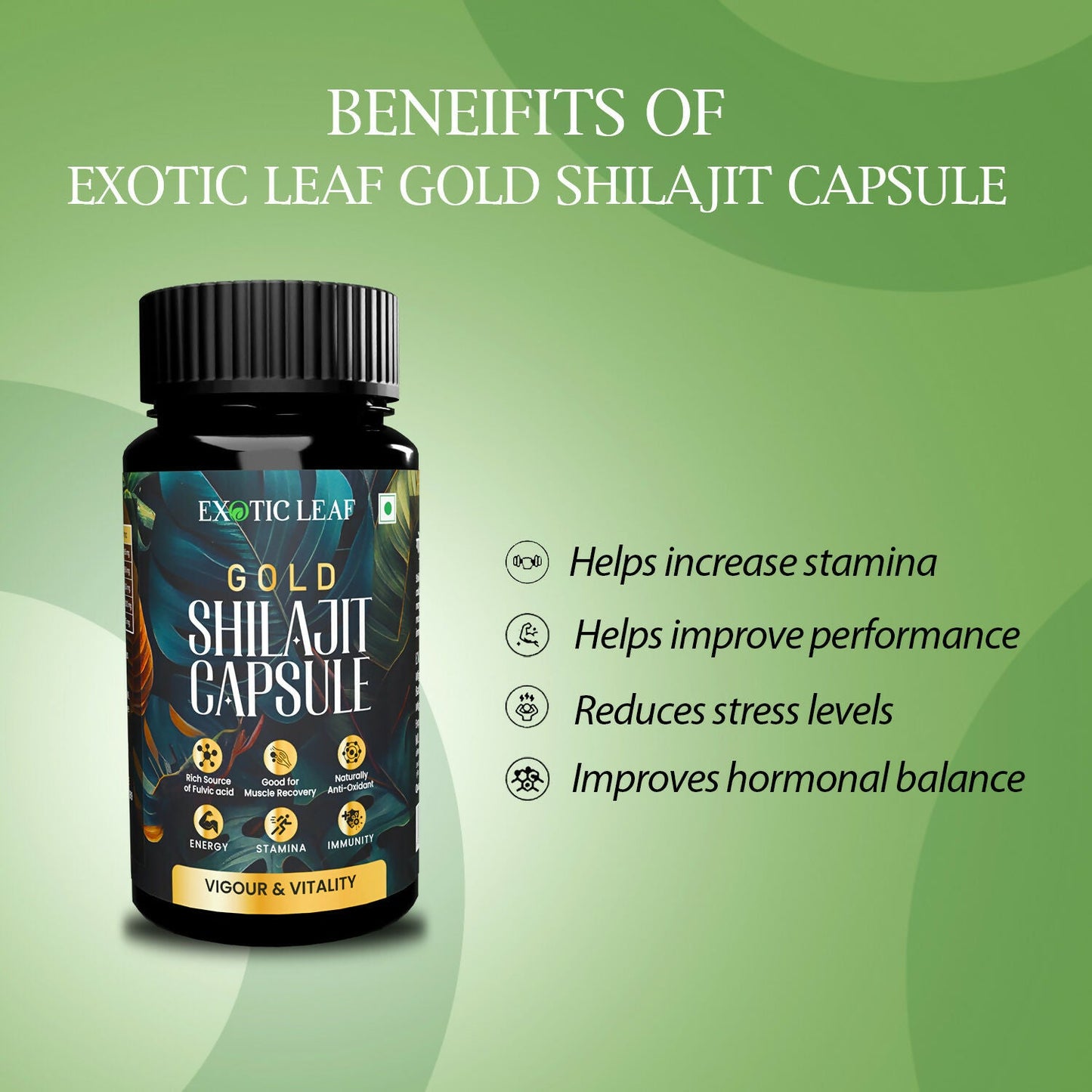 https://cdn.shopify.com/s/files/1/1857/6931/files/DFLD4C9yHm.jpg?v=1725084650