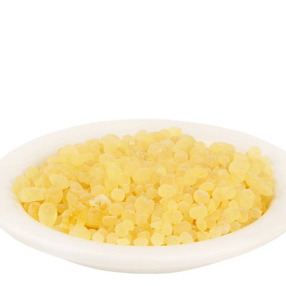 https://cdn.shopify.com/s/files/1/1857/6931/products/DToYc4ZUDl.jpg?v=1613950531