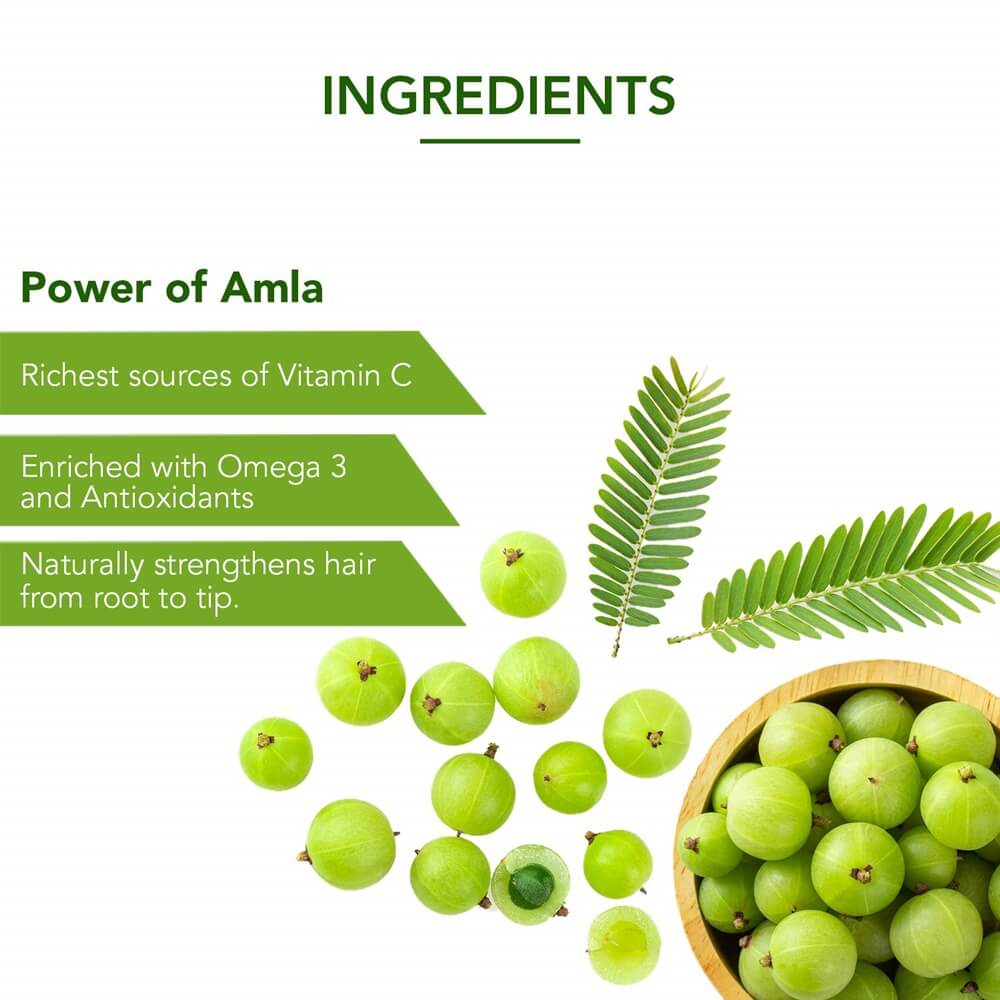 https://cdn.shopify.com/s/files/1/1857/6931/products/Dabur-Amla-Hair-Oil-Ingredients.jpg?v=1755083848