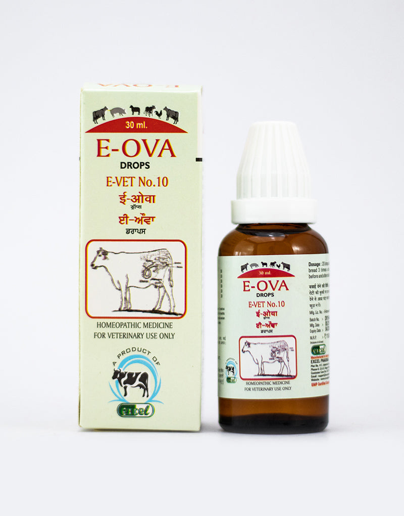 https://cdn.shopify.com/s/files/1/1857/6931/products/E-VET-10.jpg?v=1642679505