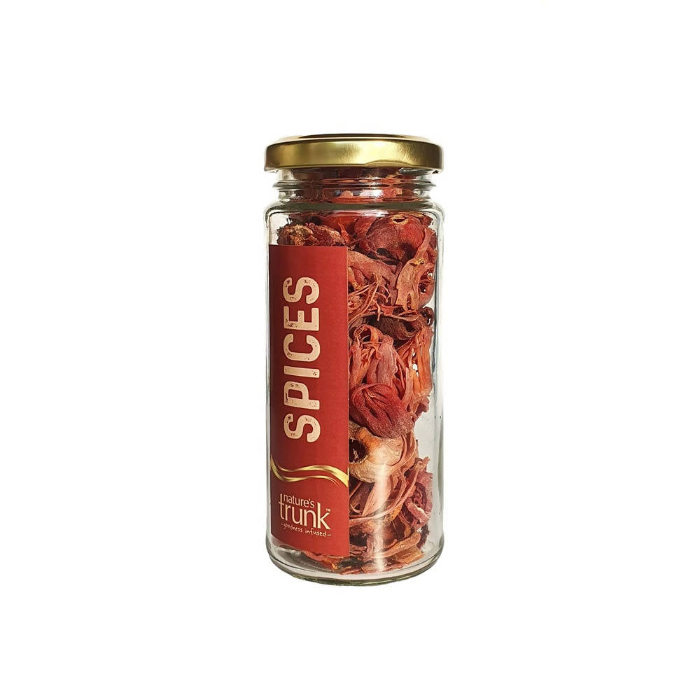 https://cdn.shopify.com/s/files/1/1857/6931/products/EQTRJXG4cL.jpg?v=1671280845